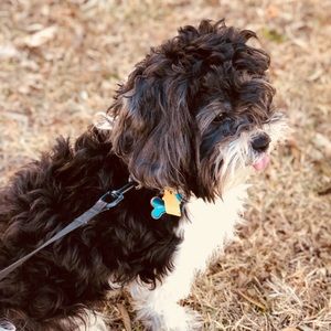 Meet your Posher, Rochelle